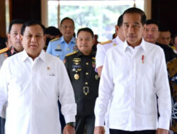 Tanggapi Isu Prabowo Cekik Wamentannya, Jokowi: Masih Situasi Politik