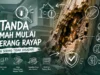 7 Tanda Rumah Mulai Diserang Rayap yang Sering Tidak Disadari